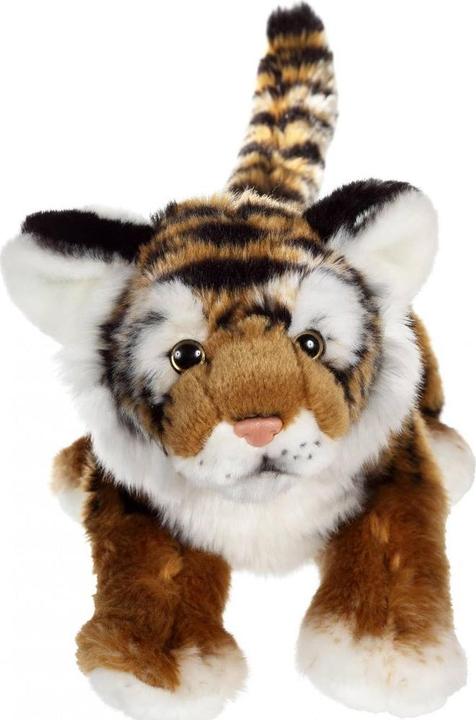 Actual product image Gipsy Tiger (30 cm)