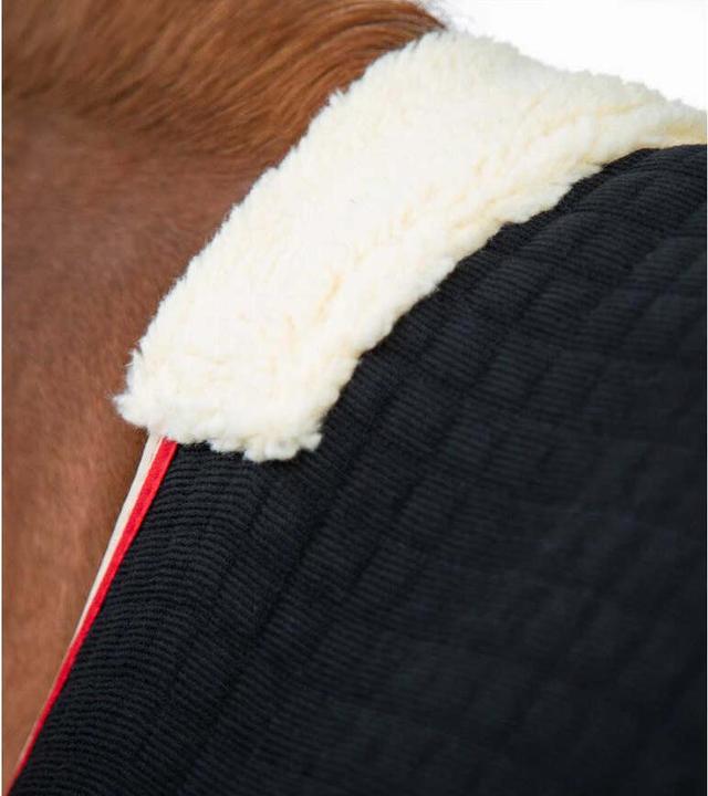 Image du produit Premier Equine Premtex (160 cm)