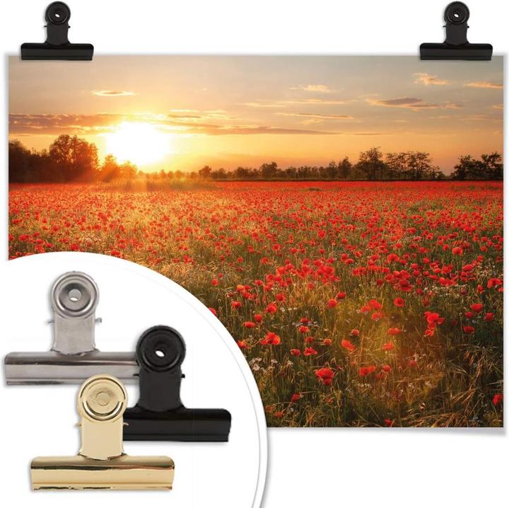 Actual product image Trenddeko Poppy field in sunset (30 x 40 cm)