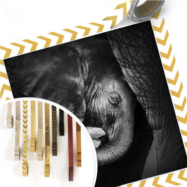 Image du produit Trenddeko Le bébé éléphant (60 x 60 cm)