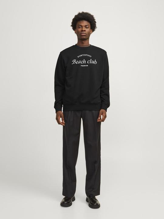 Actual product image Jack & Jones Printed sweatshirt with round neck Sweatshirt with round neck (L)