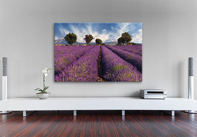 Immagine prodotto Trenddeko Campo di lavanda (60 x 40 cm)