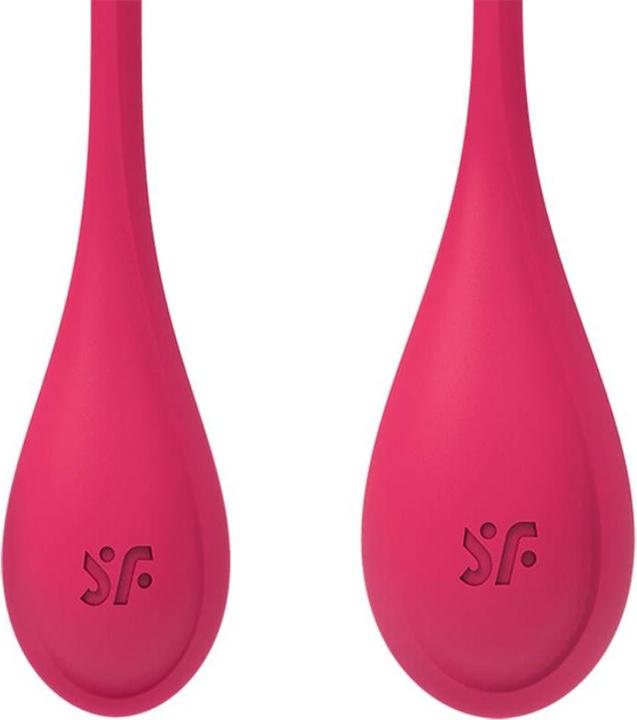 Image du produit Satisfyer Yoni Power 1