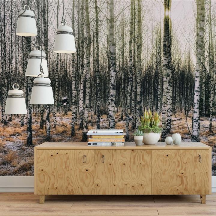 Produktbild Trenddeko Porta 01 (432 x 300 cm)