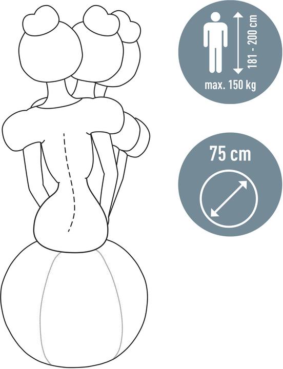 Image du produit Leitz Ergo Active (75 cm)