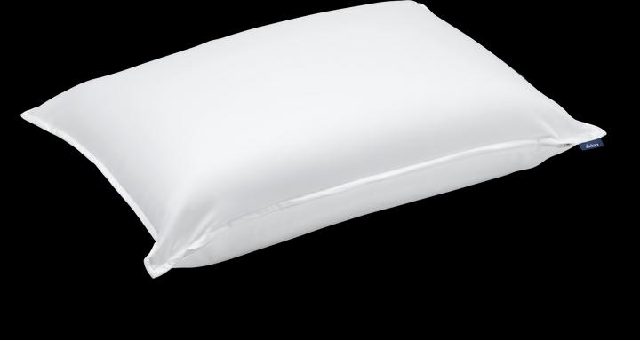 BodySoft (50 x 70 x 15/19 cm)