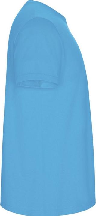 Actual product image Alpinia Mens Stafford T-Shirt (L)
