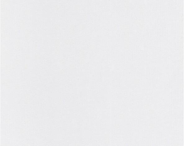 Actual product image A.S. Création Meistervlies Pro Protect 2 White, paintable 49 (53 x 1005 cm)