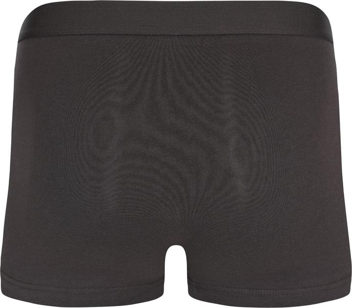 Produktbild FILA Man Boxer Elastic With Logo 2 Pieces Per Pack (L, 2er Pack)