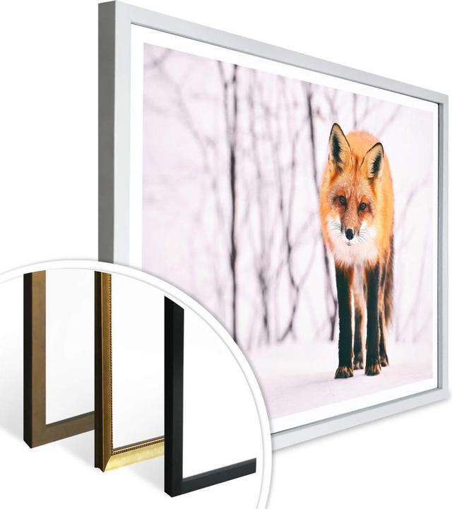 Produktbild Trenddeko Fuchs im Schnee - 2-teilig (60 x 50 cm)
