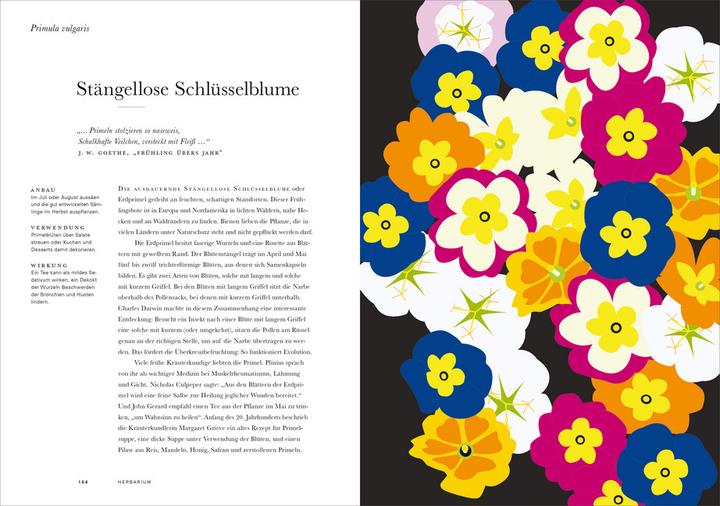 Produktbild Herbarium (Deutsch, Caz Hildebrand, 2019)