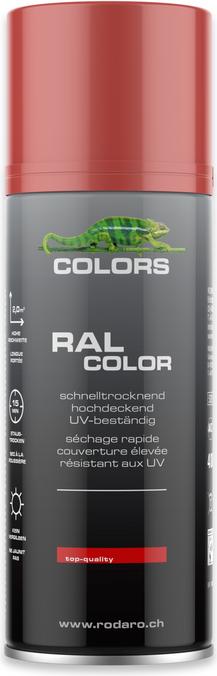 Immagine prodotto Colors Bomboletta spray (Rosso fiamma, 0.40 l)