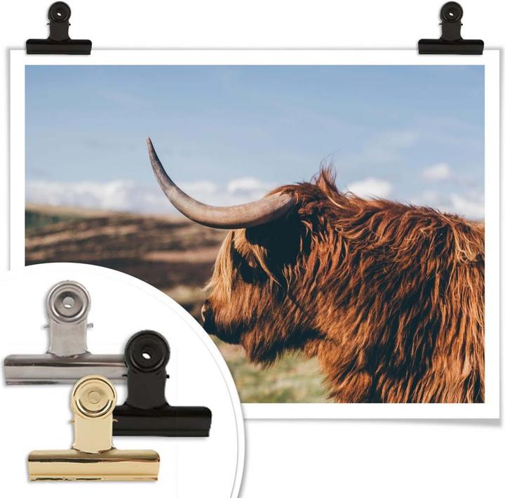 Image du produit Trenddeko Vache Highland 02 (60 x 50 cm)