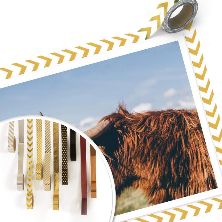 Image du produit Trenddeko Vache Highland 02 (60 x 50 cm)