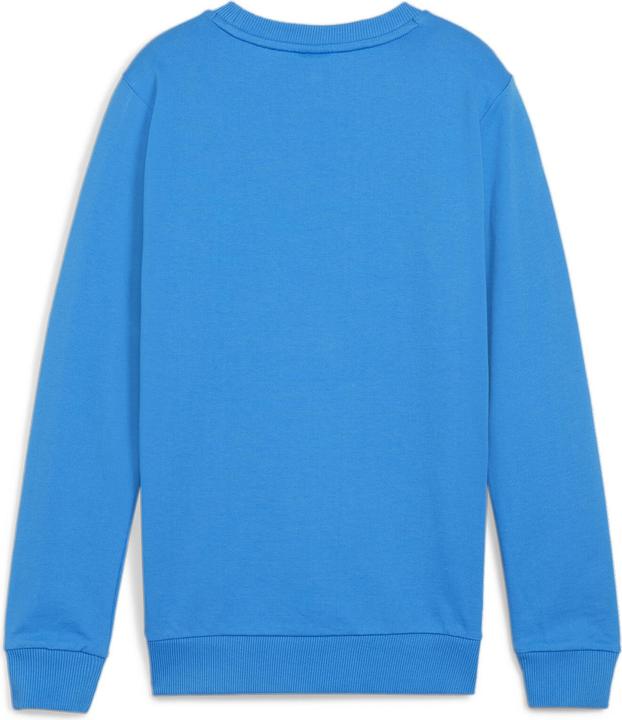 Actual product image Puma teamGOAL Casuals Crew Neck Sweat Jr (152)