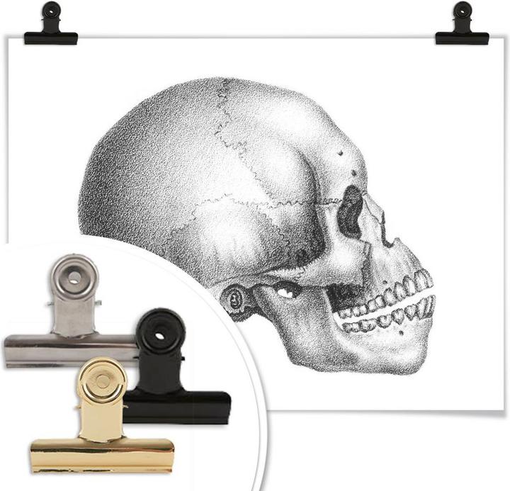 Actual product image Trenddeko Skull 02 (60 x 50 cm)