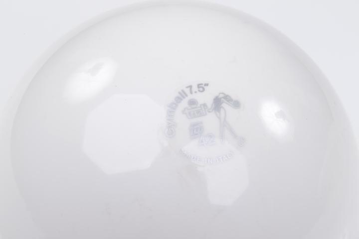 Actual product image Trial ® Gymnastikball (19.05 cm)