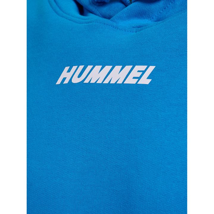 Image du produit hummel hmlELEMENTAL HOODIE (XXL)