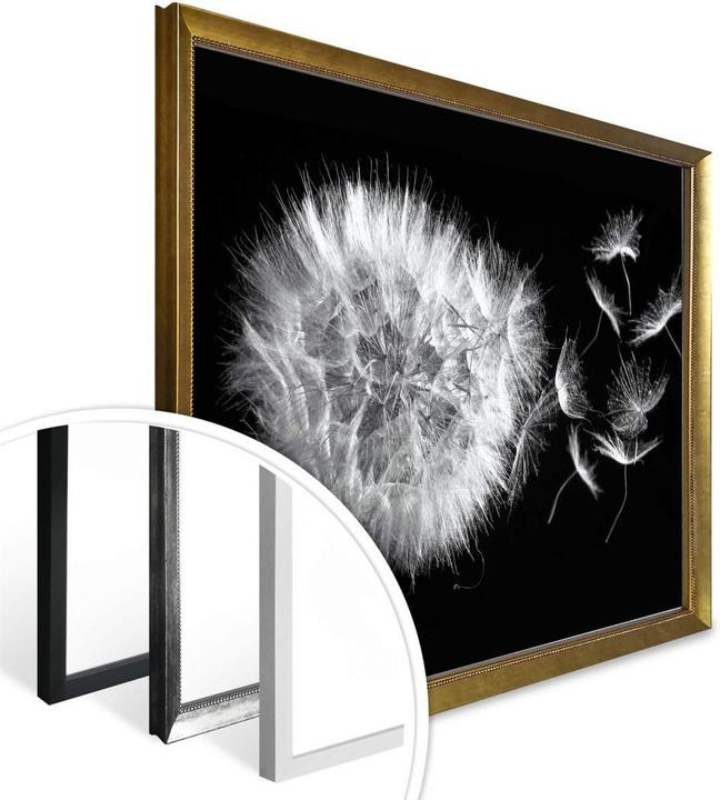 Produktbild Trenddeko Poster Pusteblume 100 x 80 cm, Papier (100 x 80 cm)