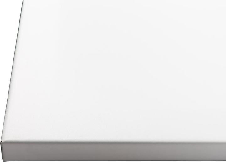 Actual product image Projecta FullVision projection screen (130 inch) (130", 16:10)