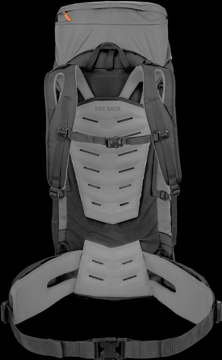 Actual product image Salewa Alptrek + L Pro (65 l)