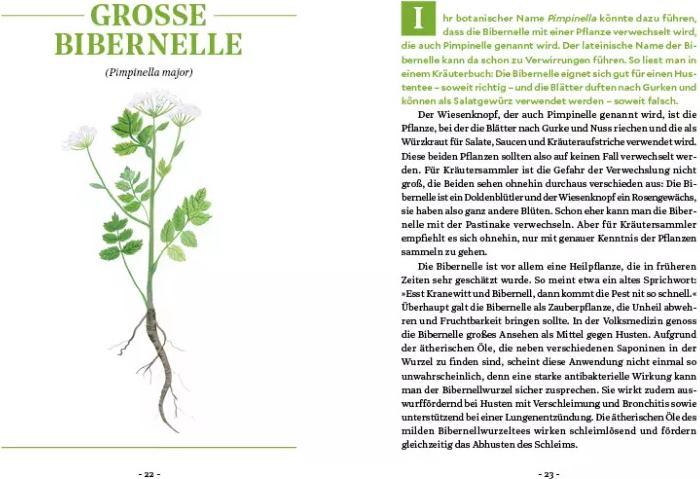 Actual product image Die Kraft der Wurzeln (German, Miriam Cradle, 2020)