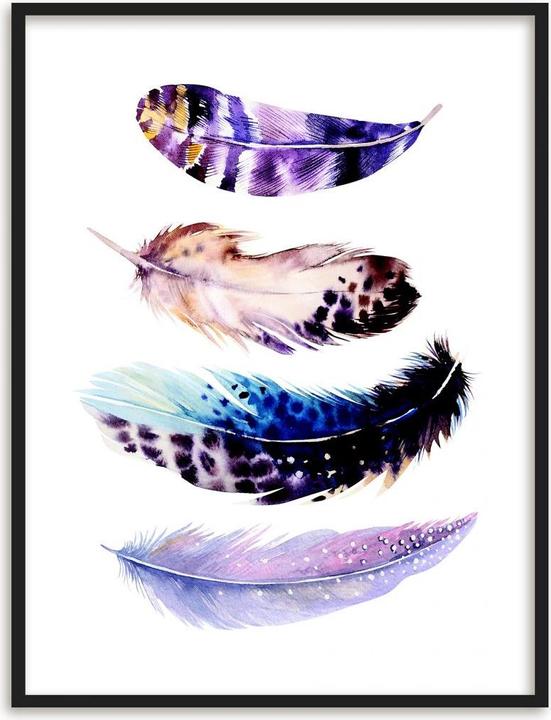 Produktbild Trenddeko Federn 01 (60 x 80 cm)
