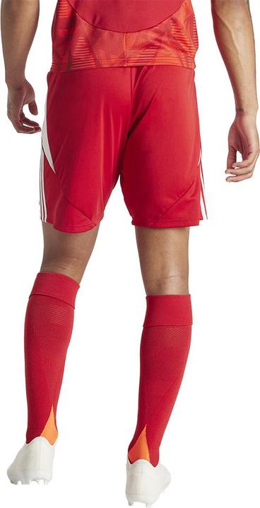 Actual product image adidas TIRO24 SHORT (XS)