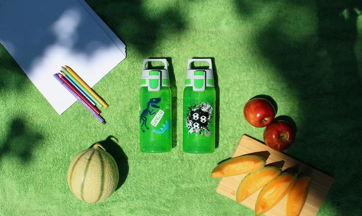 Actual product image Sigg Viva One (0.50 l)
