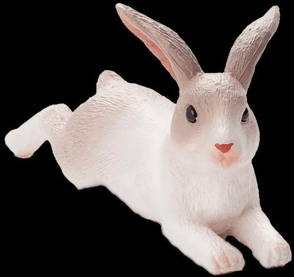 Actual product image Animal Planet Rabbit