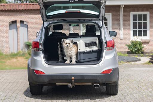 Produktbild Karlie Nomad (Hund, Katze, Abschliessbar)