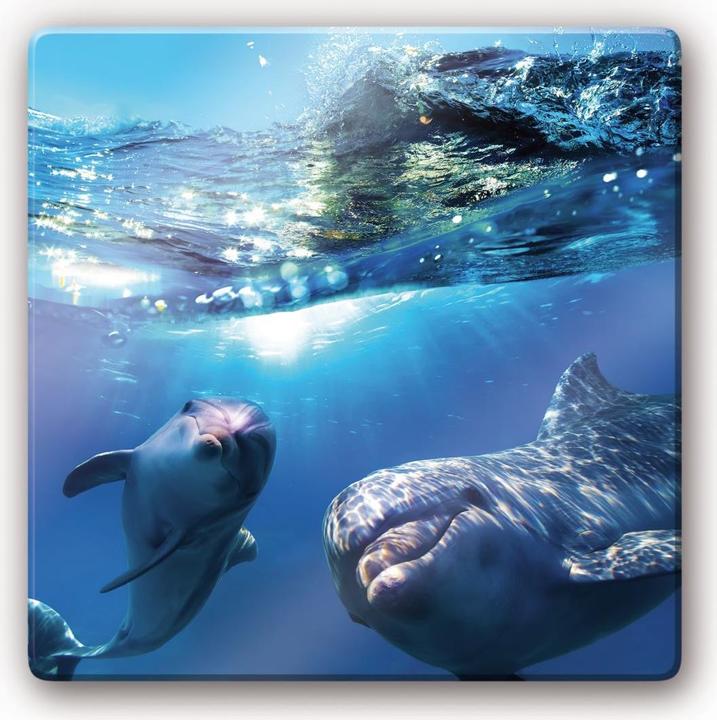 Immagine prodotto Trenddeko Delfini sott'acqua (20 x 20 cm)