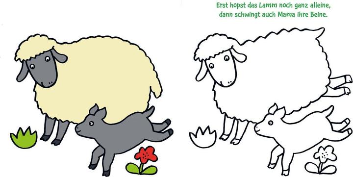 Actual product image Tierkinder