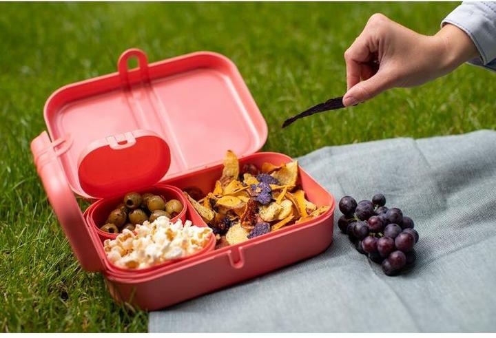 Immagine prodotto Koziol Lunchbox Pascal Ready 4 pezzi, verde