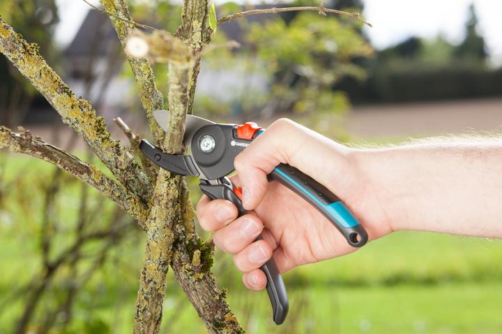 Immagine prodotto Gardena Cesoie da giardino A/M