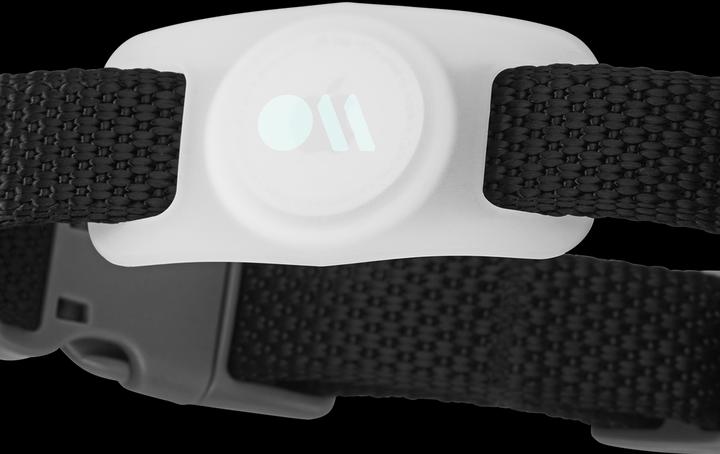 Actual product image Case-Mate AirTag Dog Collar Mount