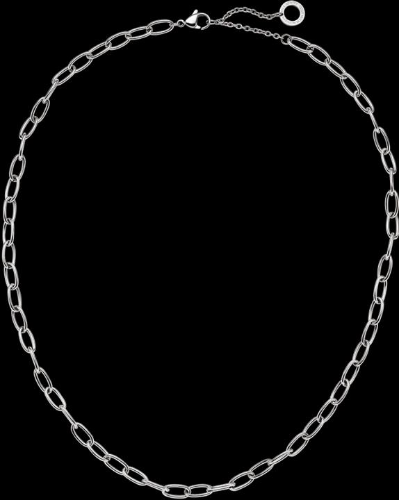 Immagine prodotto Paul Hewitt PH-JE-0443 (Acciaio inossidabile, Riciclato, 45 - 50 cm)