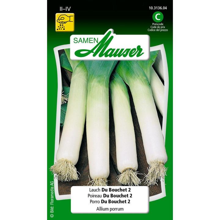 Actual product image Samen Mauser Lauch Du Bouchet 2 (Bulbous plant)