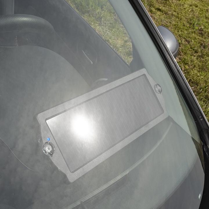 Actual product image ProPlus Trickle charger