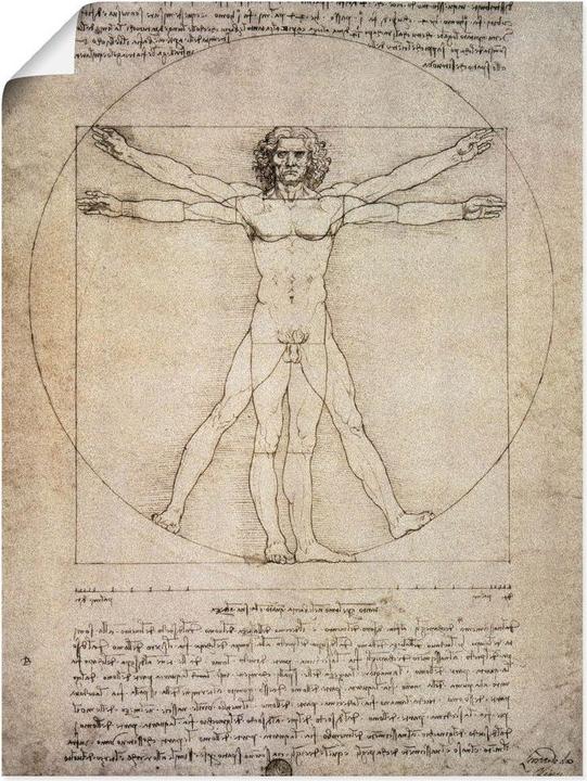 Immagine prodotto Artland Poster Disegno di proporzioni, dopo Vitruvio. 1490 T6SM (45 x 60 cm)