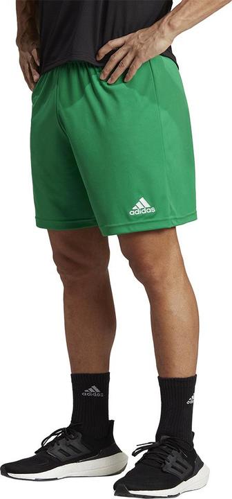 Actual product image adidas Entrada 22 Shorts (S)