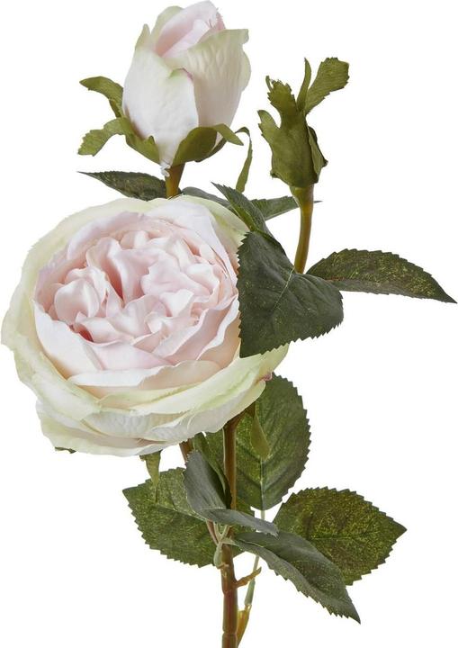 Image du produit Hill Interiors - Fleur artificielle THE NATURAL GARDEN COLLECTION (58 cm)
