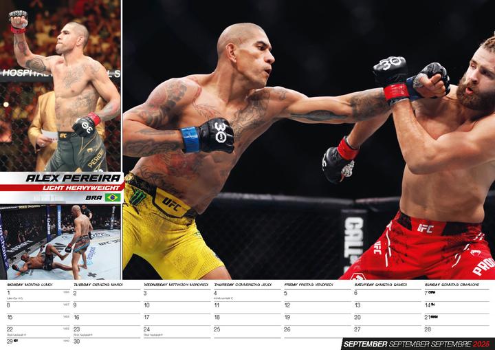 Image du produit Calendrier MMA 2025 (42 x 30 cm, Allemand)