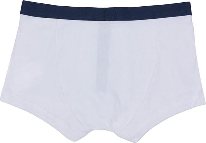 Actual product image Emporio Armani Mens Cotton Ribbed Boxer Shorts (Pack of 2) (XL, pack of 2)