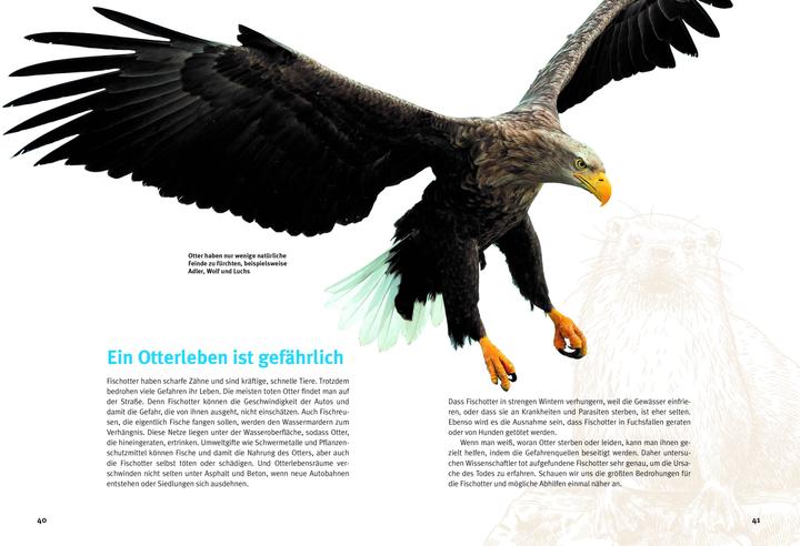 Immagine prodotto Entdecke die Otter (Tedesco, Krüger, Hans-Heinrich(Dr), 2023)