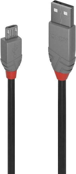 Actual product image Lindy black line (1 m, USB 3.1)