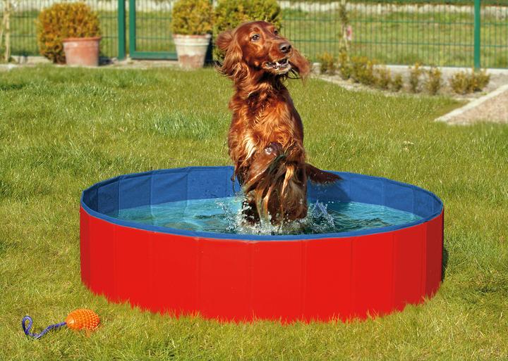 Immagine prodotto Karlie Doggy (Piscina per cani)
