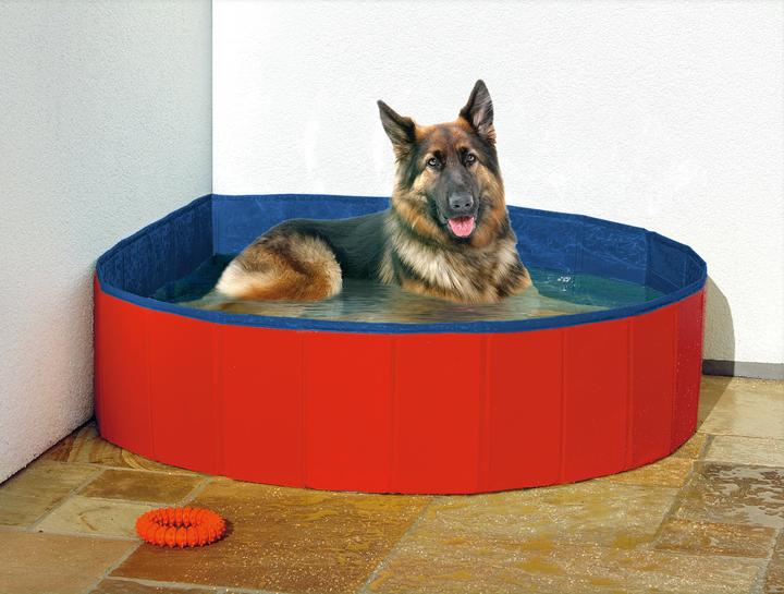Immagine prodotto Karlie Doggy (Piscina per cani)