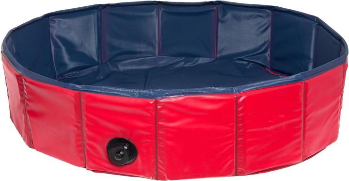 Karlie Doggy (Dog pool)
