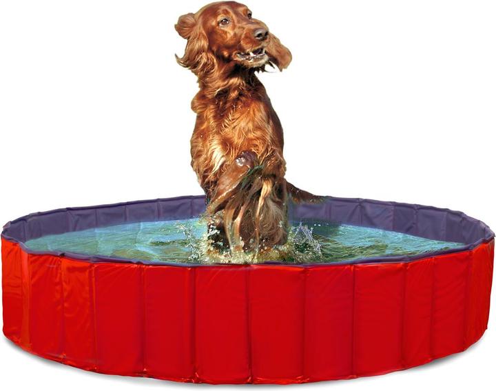 Actual product image Karlie Doggy (Dog pool)